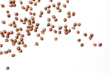 Hazelnut on white background. Flat lay, top view.