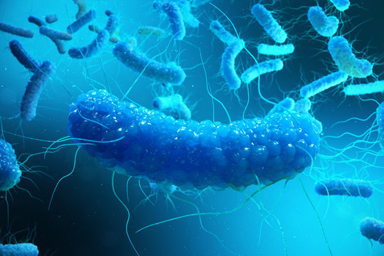 3D rendering Enterobacterias. Gram negativas Proteobacteria, bacteria such as salmonella, escherichia coli, yersinia pestis, klebsiella