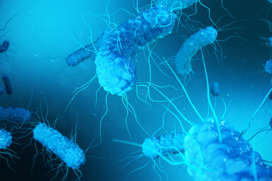 3D rendering Enterobacterias. Gram negativas Proteobacteria, bacteria such as salmonella, escherichia coli, yersinia pestis, klebsiella
