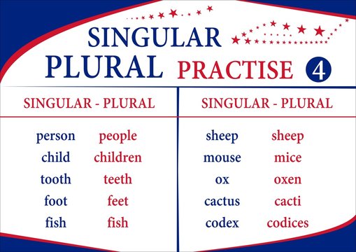 Singular Plural Practise