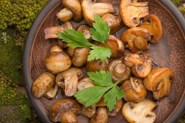Fried mushrooms in a plate with greens on a green moss
