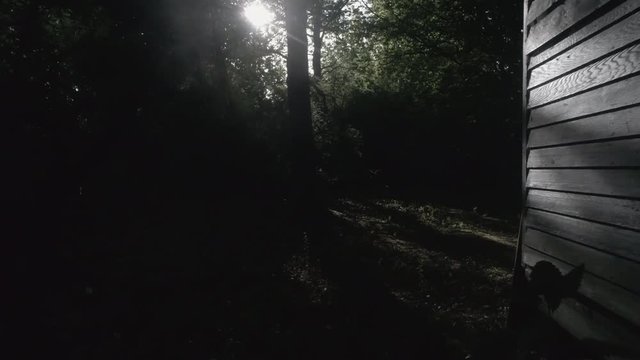 low reverse reveal drone shot in a dark forrest with sun shining through