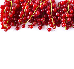 Red currants at border of image with copy space for text. Ripe red currants on white background. Top view.