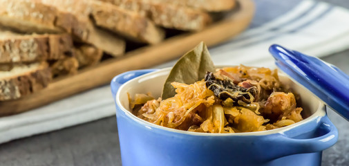 Traditional Polish Easter and Christmas food - bigos - closeup - banner