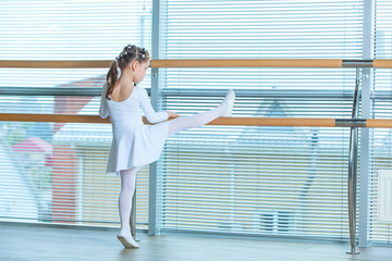 Little ballerina girl in a pink tutu. Adorable child dancing classical ballet in a white studio....