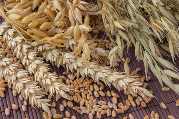 Wheat and oats close-up on a brown background