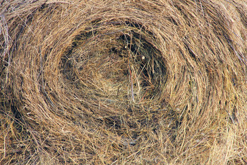 Background of straw texture, spiral pattern