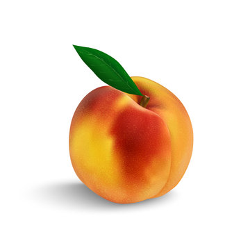 Peach Isolated In Close-up