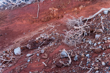 Vertrocknete Sträucher und weiße Steine auf rotem Erdboden - La Palma © lavillia
