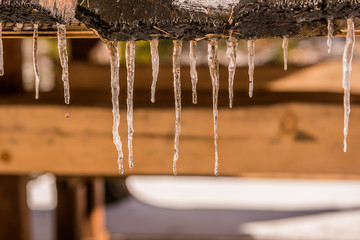 spring melting icicles 