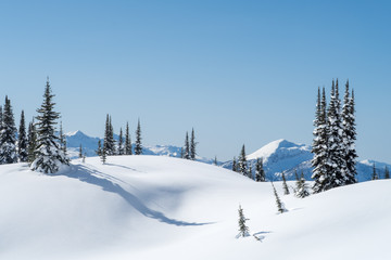 Powder day with deep blue sky, Revelstoke BC, Canada