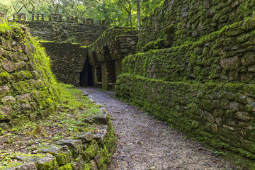 Mexico. The Yaxchilan Archaeological Park, the Mayan city hidden in the Lacandon Jungle - entrance to the Labyrinth (Structure number 19)