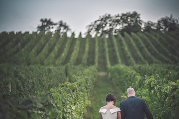 Wedding in the nature. Couple walking the vineyard. Love concept, happiness, vintage wedding day.