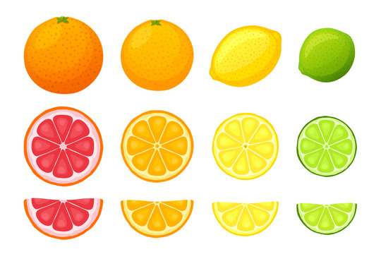 Vector illustration set of citrus fruits