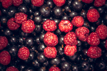 Mixed berries summer background with ripe raspberry and black currant