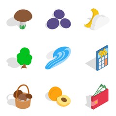 Doable icons set, isometric style