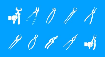 Fototapeta premium Pliers icon blue set vector