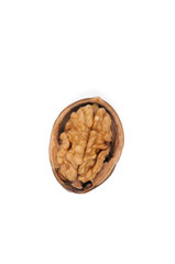 Walnut half in shell on white background. View from above.