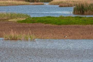 Pequenas ilhas dentro de um lago