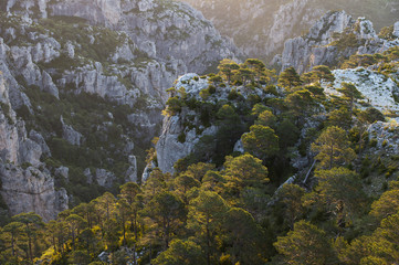 Beautiful sunrise landscape at Puertos de Beceite National Park showing Mediterranean vegetation and rocky mountains with contralight