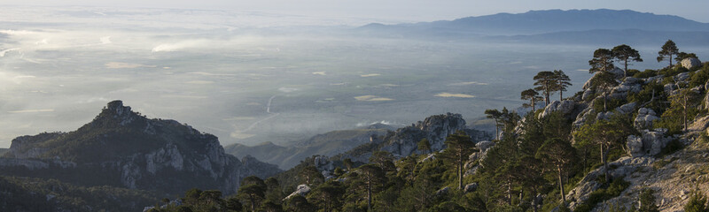 Amazing panoramic landscape at Puertos de Beceite National Park, showing scattered trees in the foreground with morning sunlight and fog over the lower landscape of Tortosa