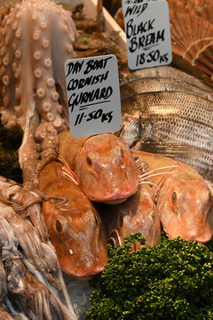 Fish in Food Market