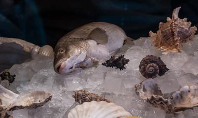 Fish in Food Market