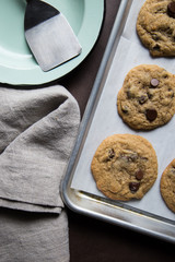 Fresh Baked Homemade Chocolate Chip Cookies