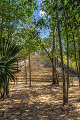 Fototapeta premium Small ancient pyramid of old Mayan civilization city hidden in the forest, Coba archeological site, Coba, Yucatan, Mexico