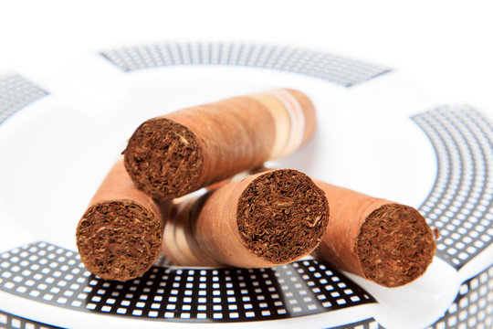 Cigars in white background