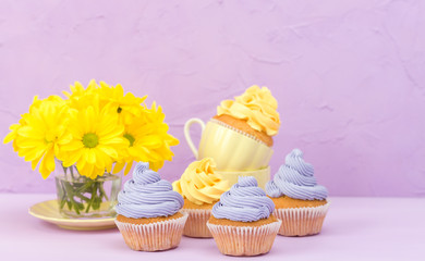Cupcakes decorated with yellow and violet cream and chrysanthemums on violet pastel background for greeting card with copyscape.