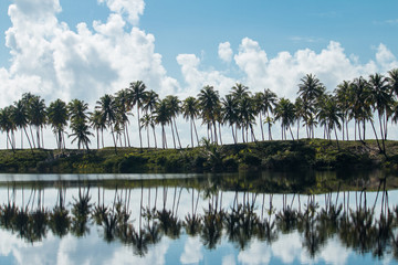 Tropical landscape with reflection of coconut trees in the water