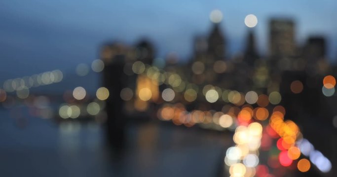 Defocused FDR, Brooklyn Bridge and NYC