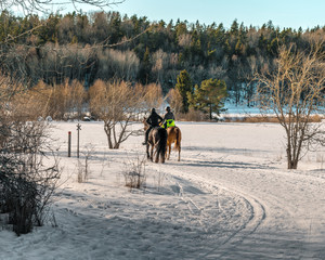 Horse riders in winter landscape