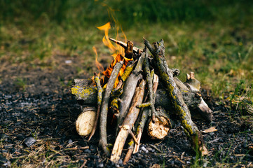 Burning firewood in outdoor summer camp on green abstract background. Travel and tourism. Nature leisure rest. Wood in flame. Lifestyle cozy place for dinner preparation. Smoldering coals and ash.