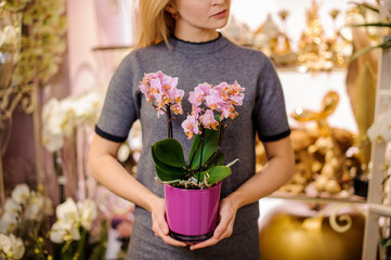 Girl holding a beautiful rose colour orchid in pink pot