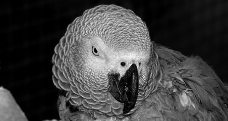 trip in the thailand