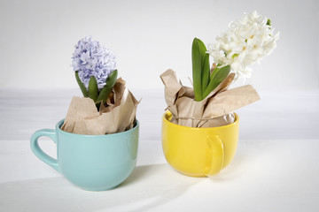 Flowers composition with lilac and white hyacinths wrapped in kraft paper in mug . Spring flowers on white background. Easter concept.