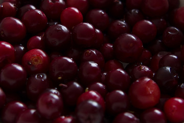 Natural background from juicy cowberries. Beauty wallpaper with berries. Aspect ratio 2:3