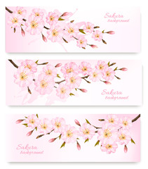 Nature spring banners with al pink sakura branches. Vector.
