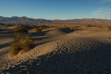 Mesquite Flat Dunes, Sand dunes at Death Valley National Park