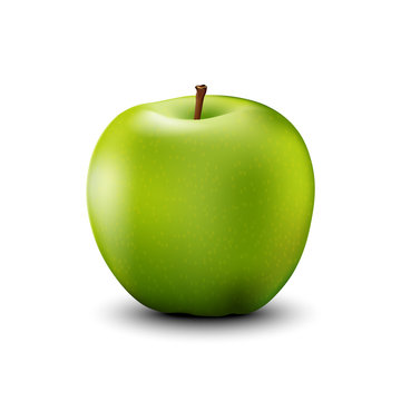 Green apple realistic detailed. Vector.