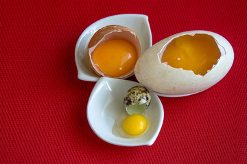 Three raw eggs of duck, hen and quail in their shells.