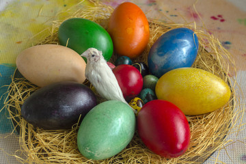Theme Easter. Multicolored eggs of quail, hen and duck on straw and a Guldlian finch perched on them.