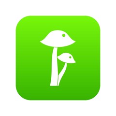 Honey fungus icon digital green