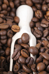 coffee beans, close-up