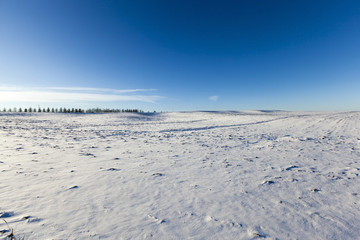 rural field covered with snow