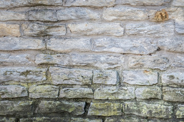 Old white rock/stone wall with for detail shots or backgrounds.