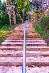Walkway in Doi Phu Nang National Park