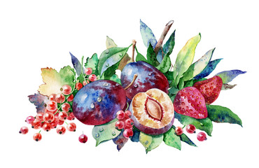 Red currant, strawberry and plums. Watercolor illustration on white paper. Ripe fruit.